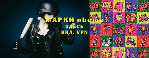 гидропоника Алзамай