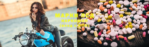 гидропоника Алзамай