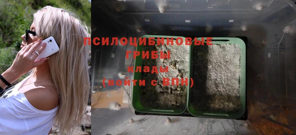 гидропоника Алзамай