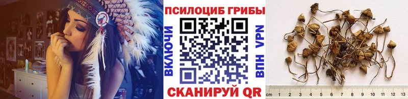 shop наркотические препараты  Иннополис  Псилоцибиновые грибы ЛСД 